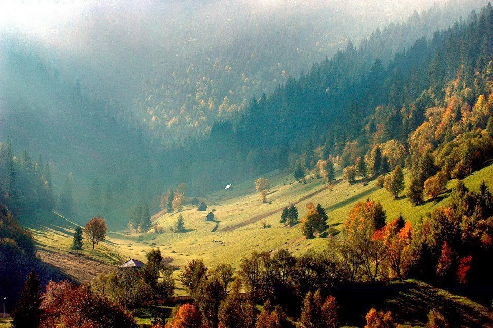 Gyimesi-ősz - Erdély Gyenes kálmán kép