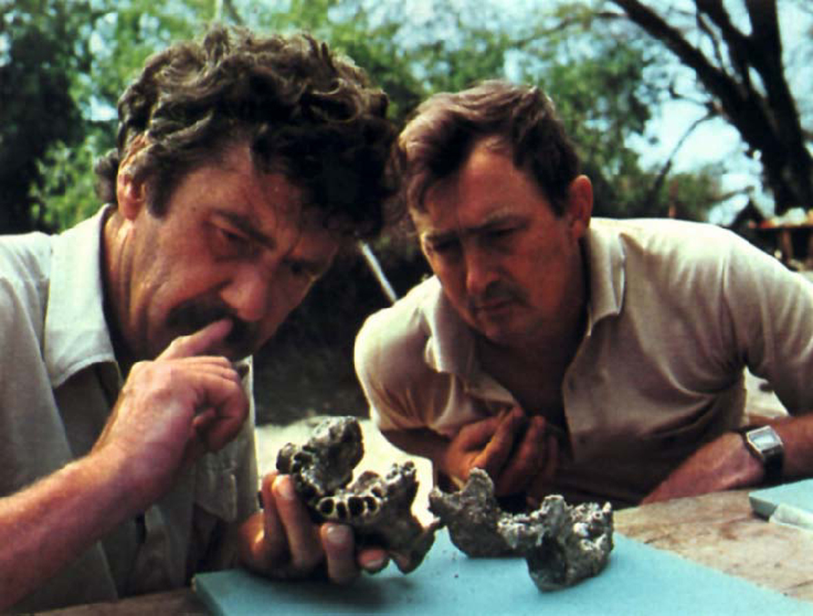 15000 év Richard Leakey and Alan Walker observing the skull of t
