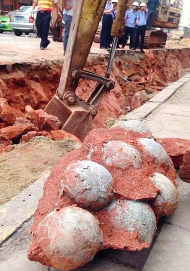 Huge Collection Of Dinosaur Eggs Found By Builders