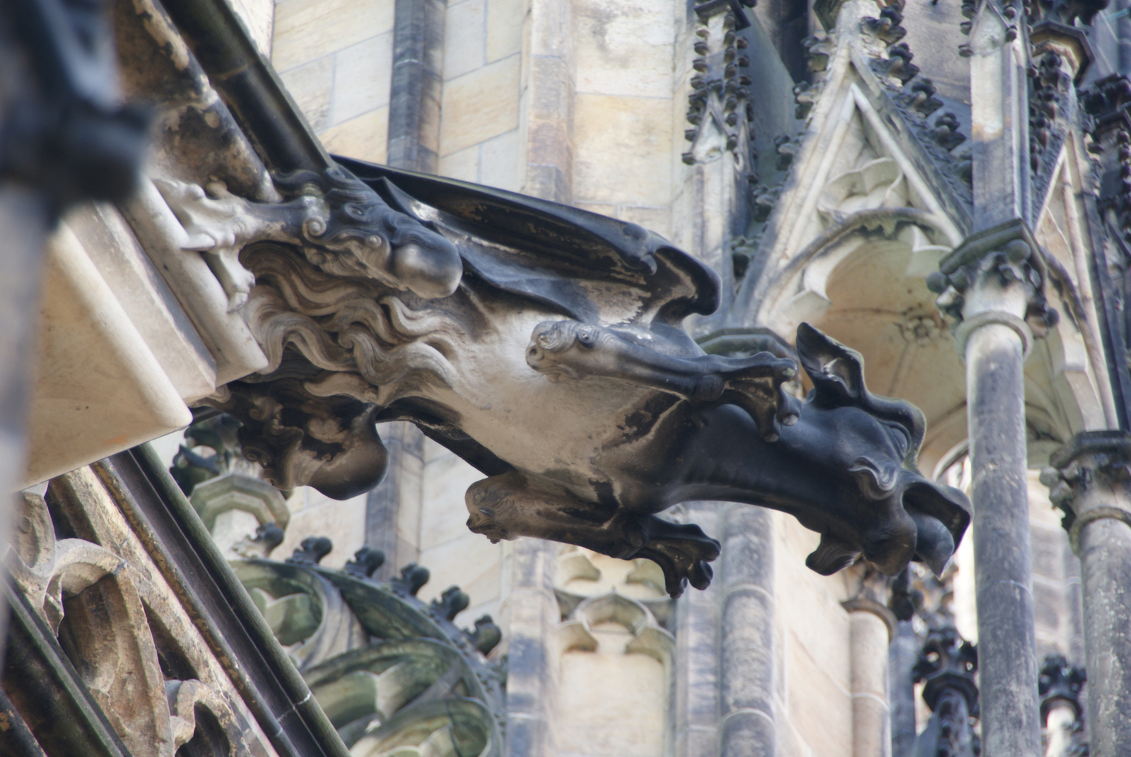 Gargoyle St. Vitus Cathedral Prague