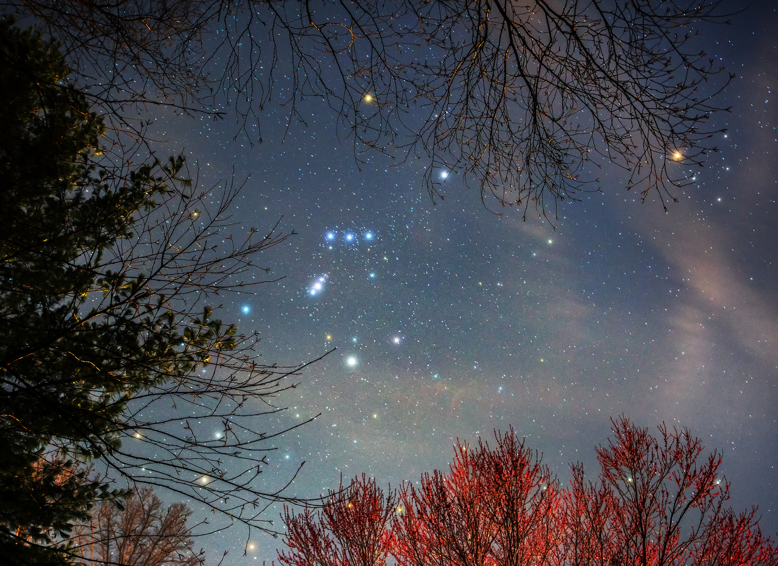 Orion .