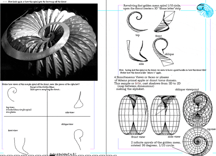 ringviews