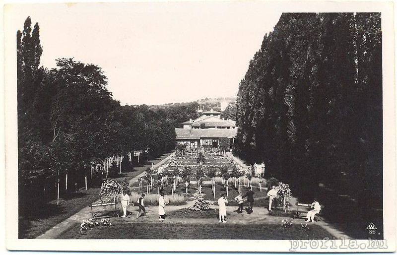 Miskolc teniszpálya  Weinstock