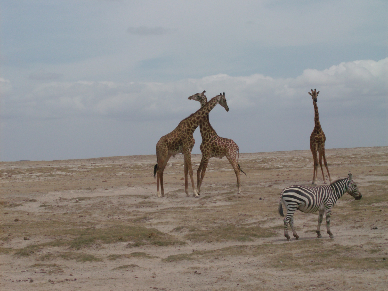 08szept,KENYA 029