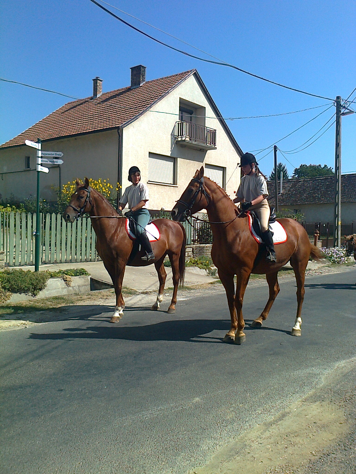 SZURETI FEL ELLEND LUSIKE 023