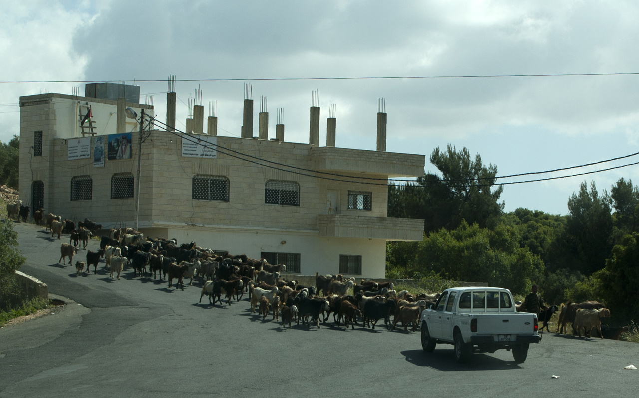 Ajloun Day2 008