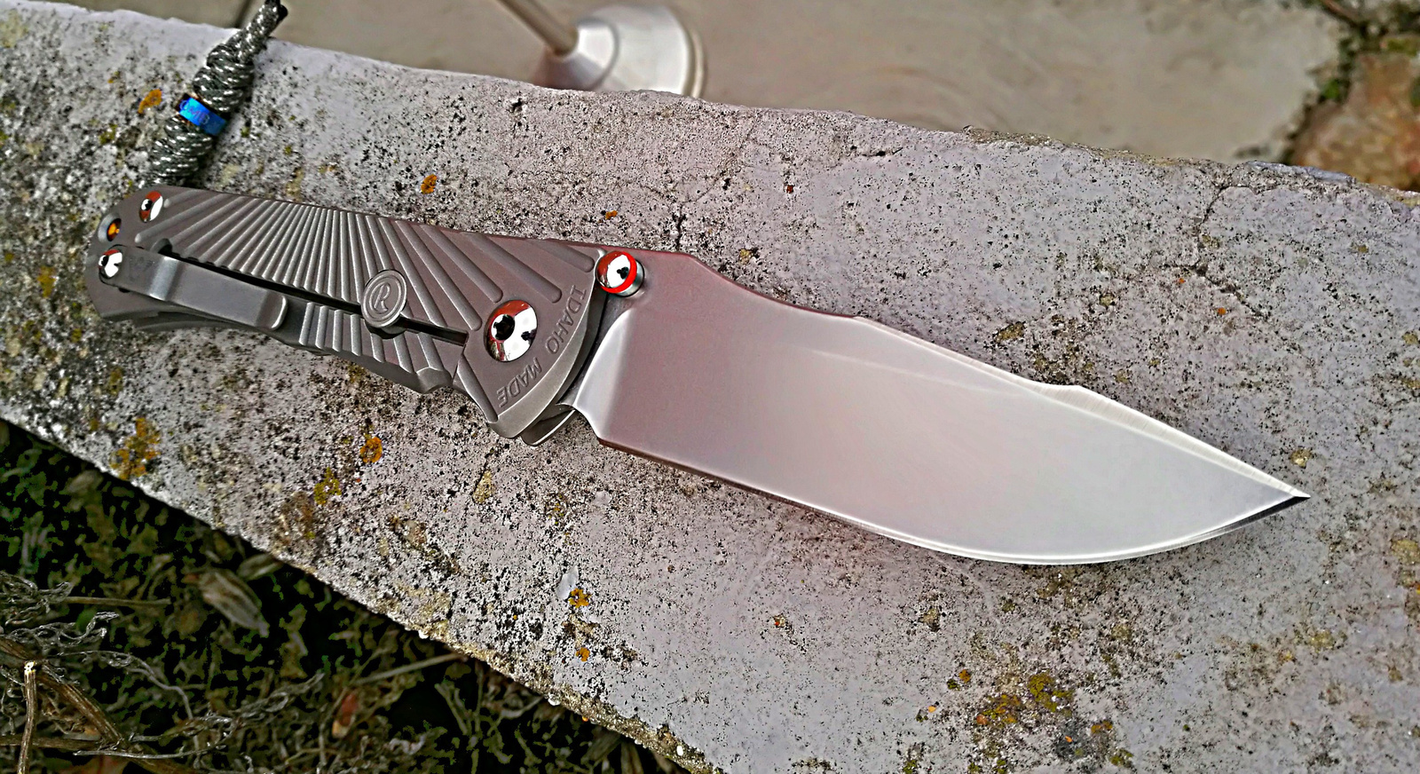 Zaan