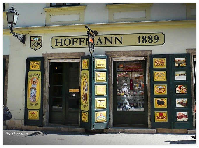 Hoffmann-ház