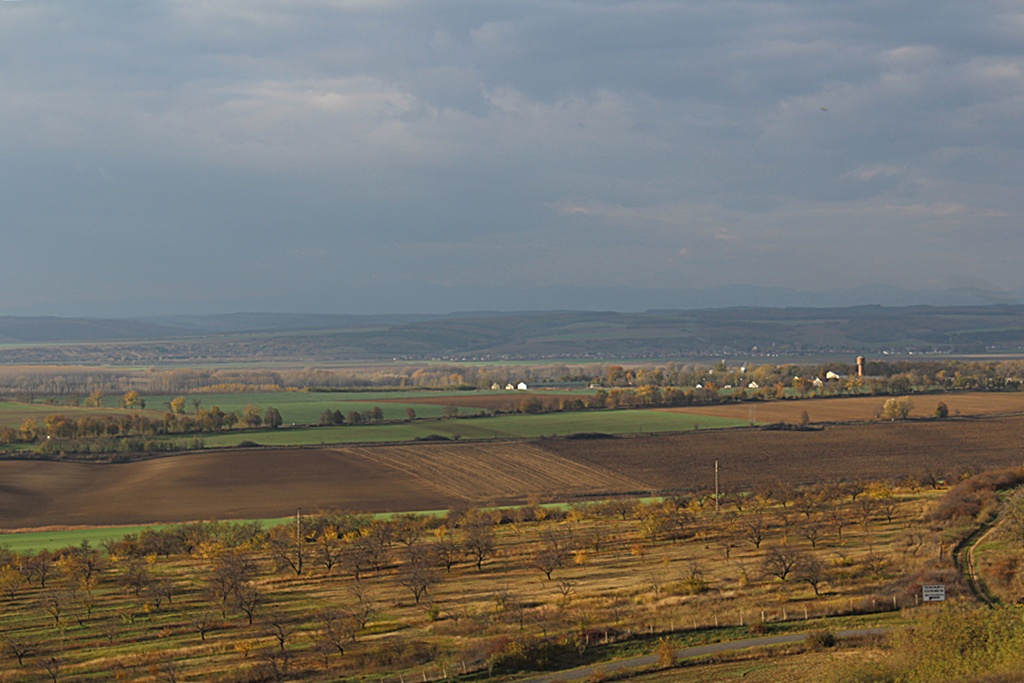 11.03.Talkibánya 165