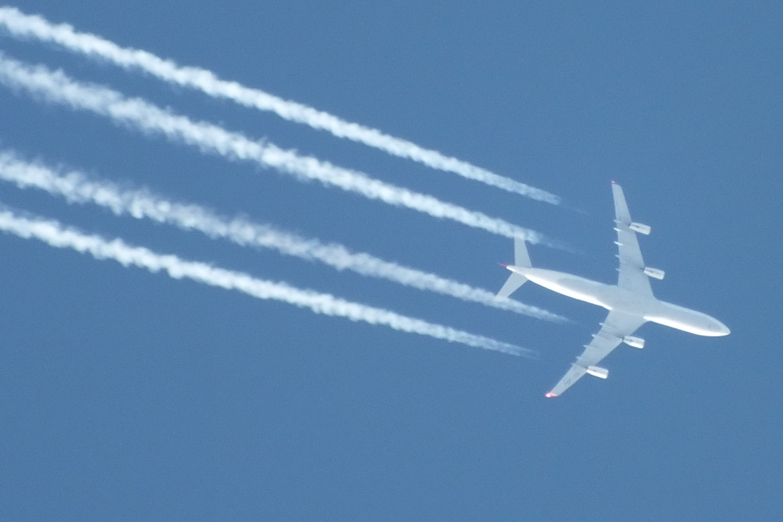 Airbus A340-311 TC-JDJ