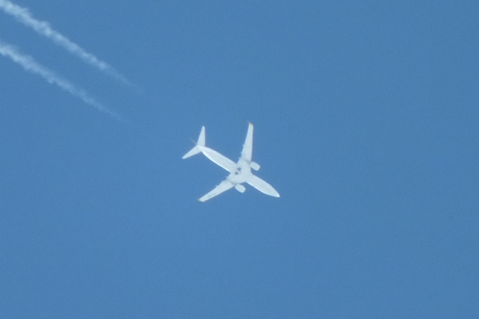 Boeing 737-82R TC-AEP - Pegasus Airlines