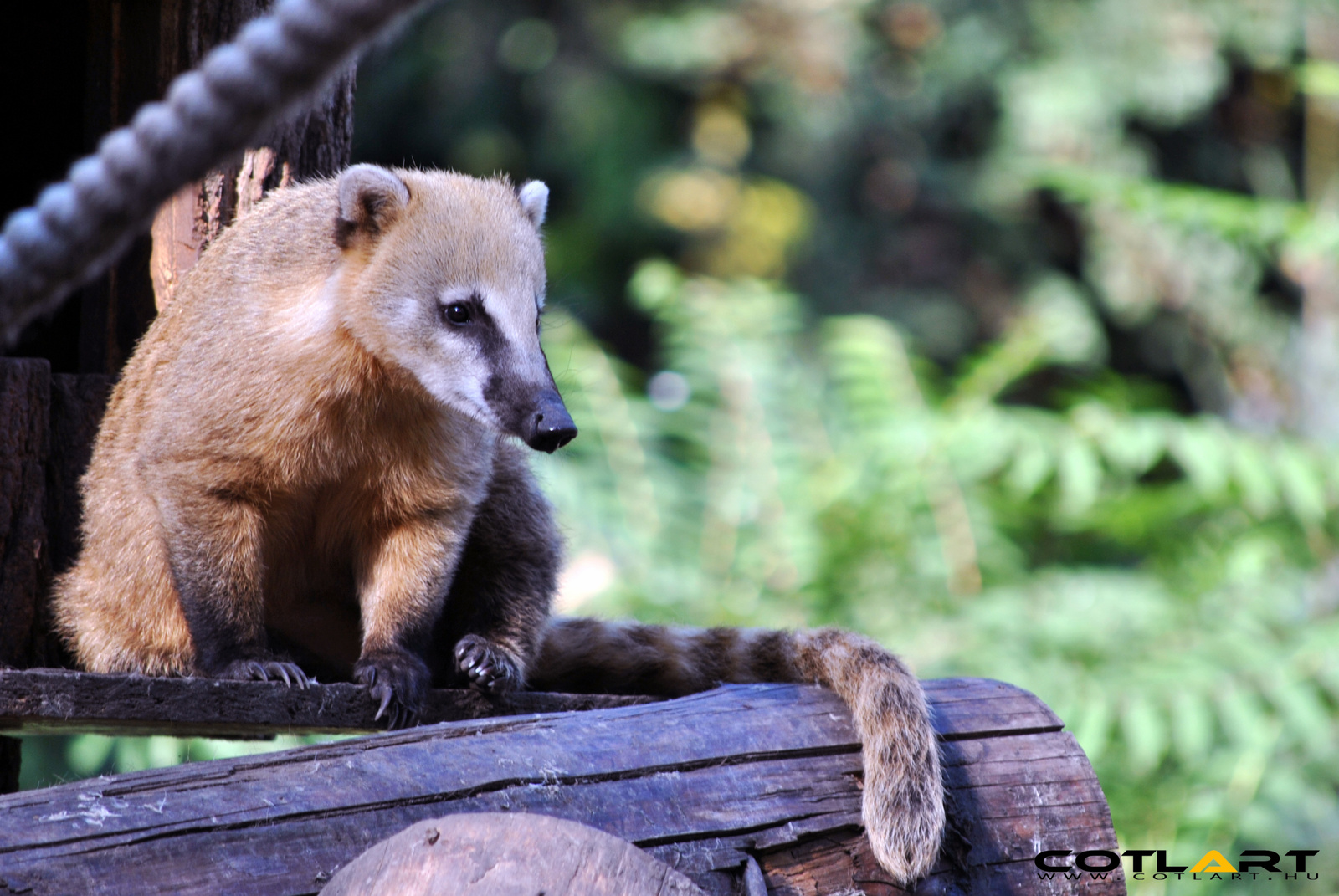 Zoo Győr