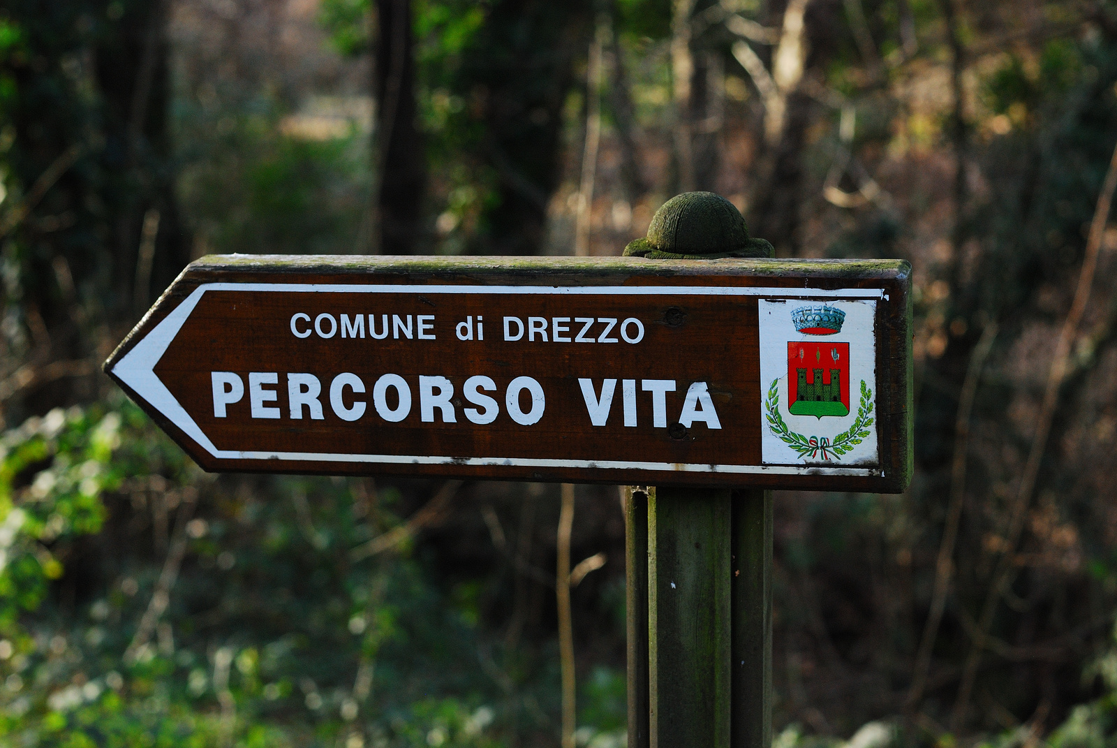 Italy #18 - Parco Regionale Spina Verde | 7959