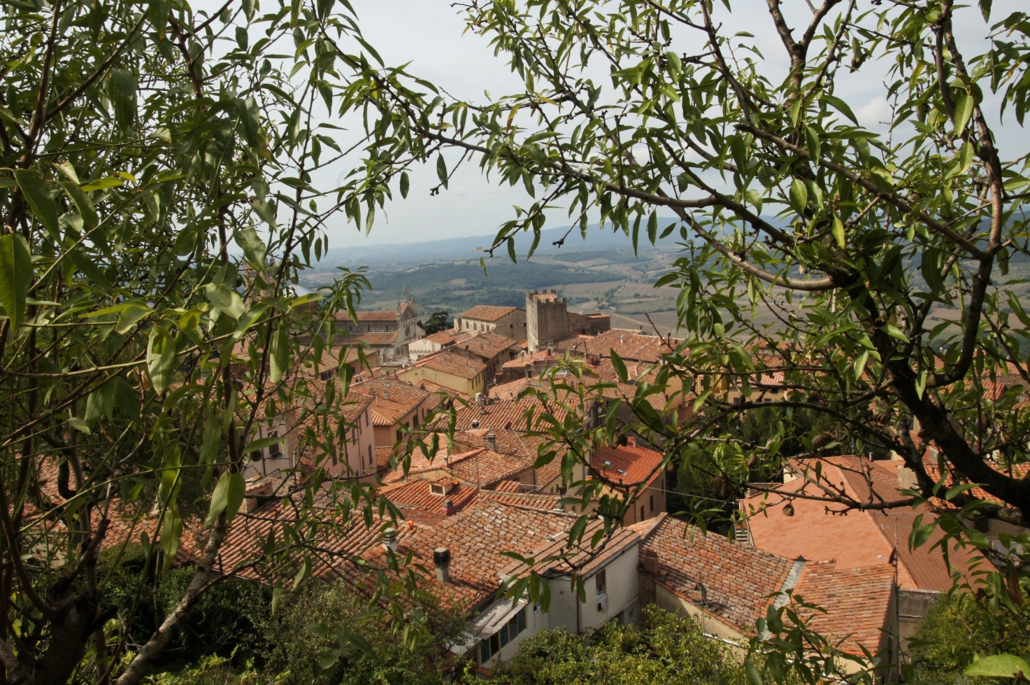 Toscana, Italy, 2011