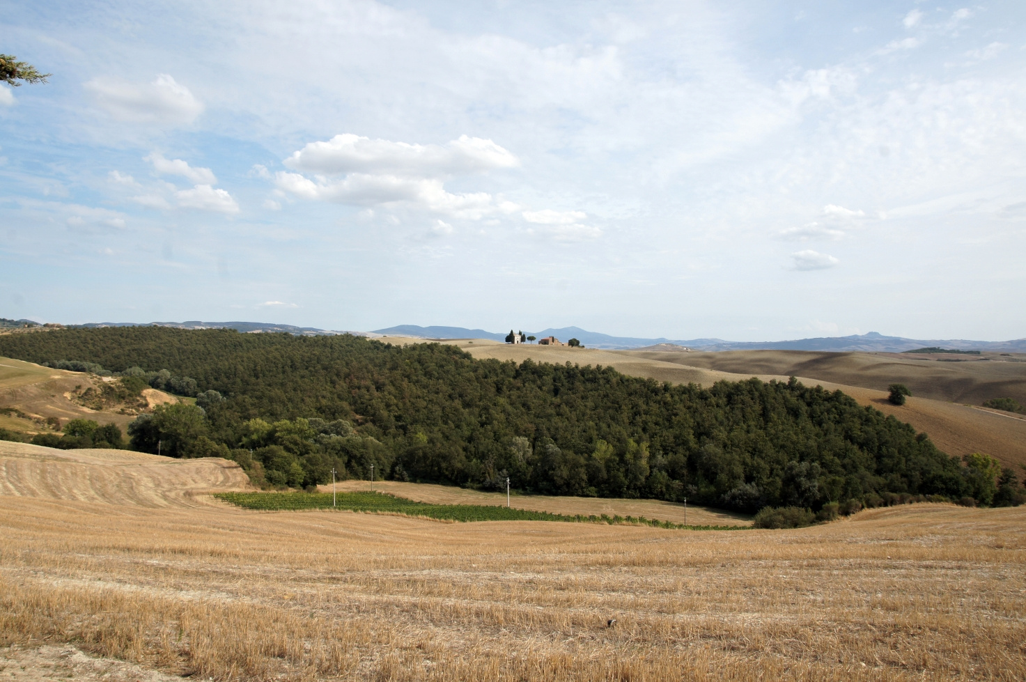 Toscana, Italy, 2011