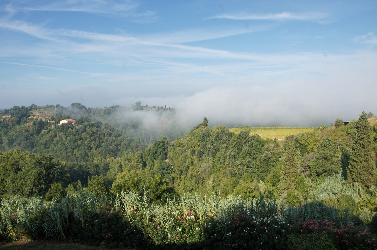 Toscana, Italy, 2011