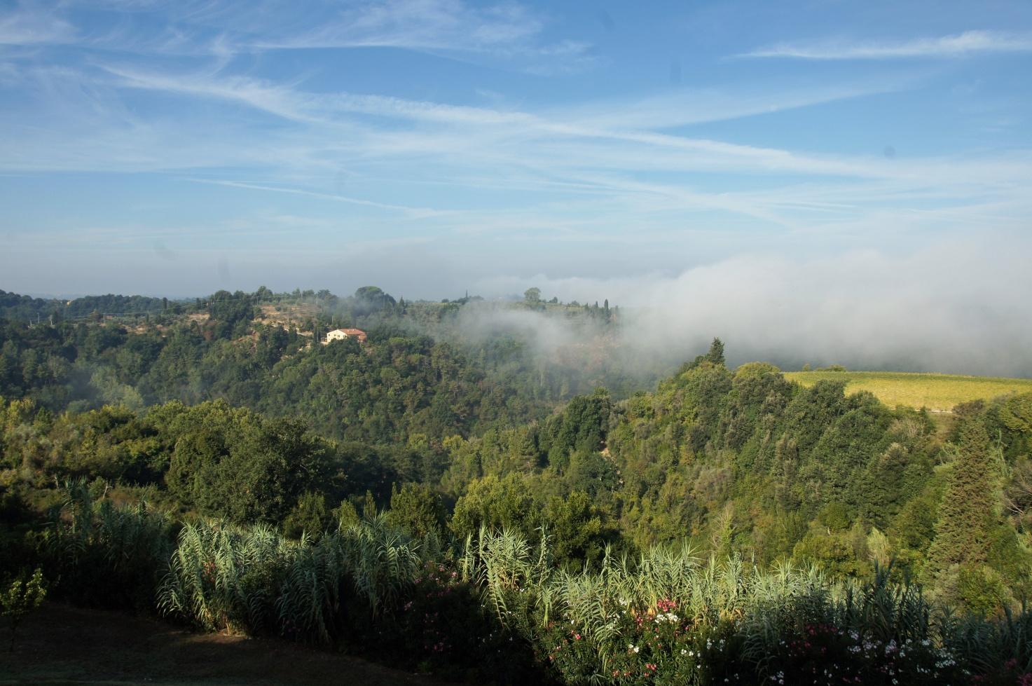 Toscana, Italy, 2011