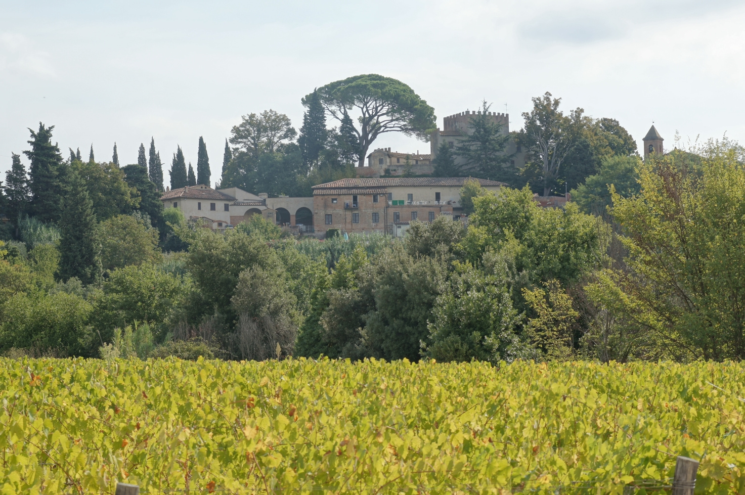 Toscana, Italy, 2011