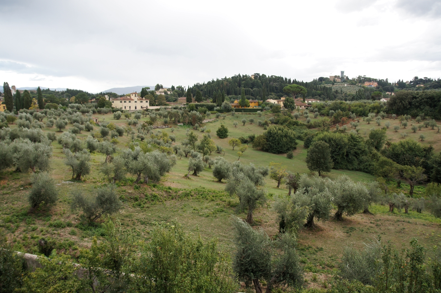 Toscana, Italy, 2011