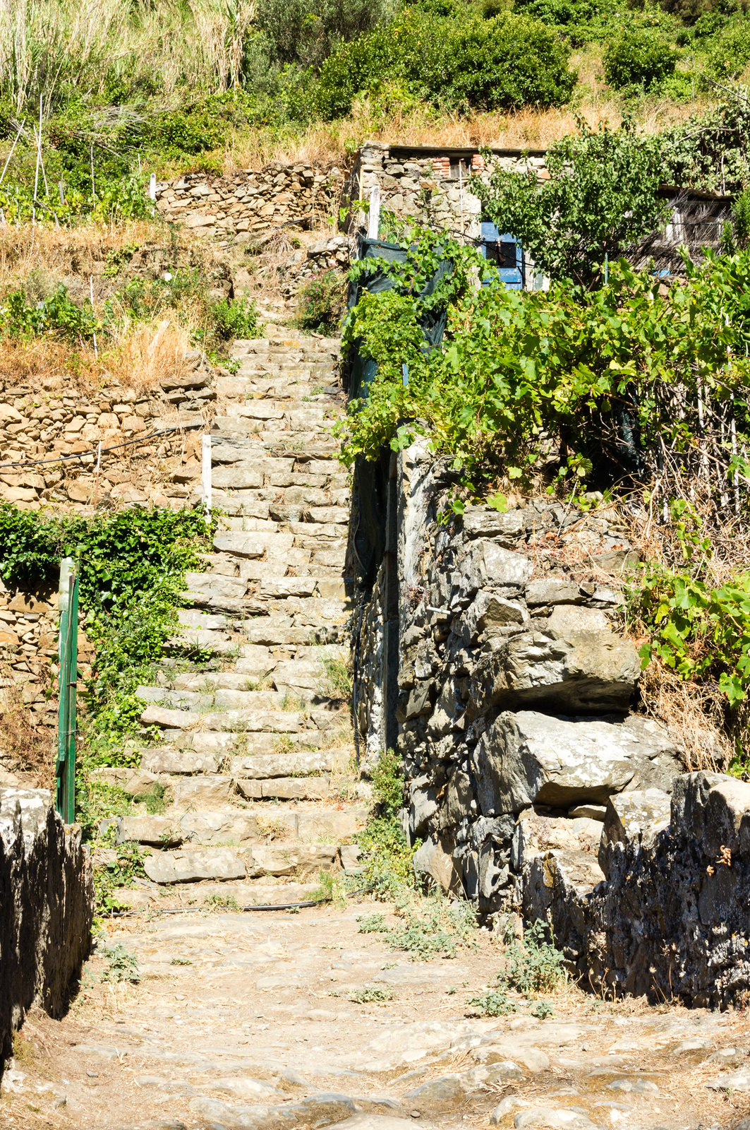 Riomaggiore, Cinque Terre