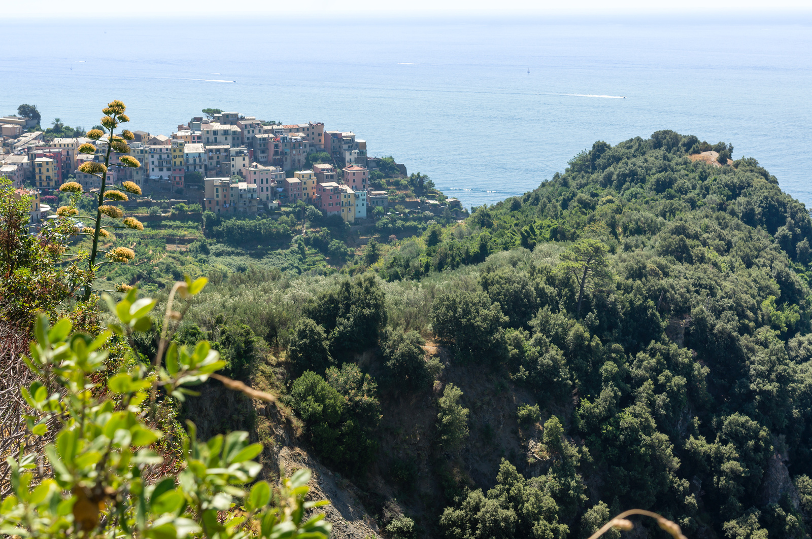 Vernazza, Cinque Terre