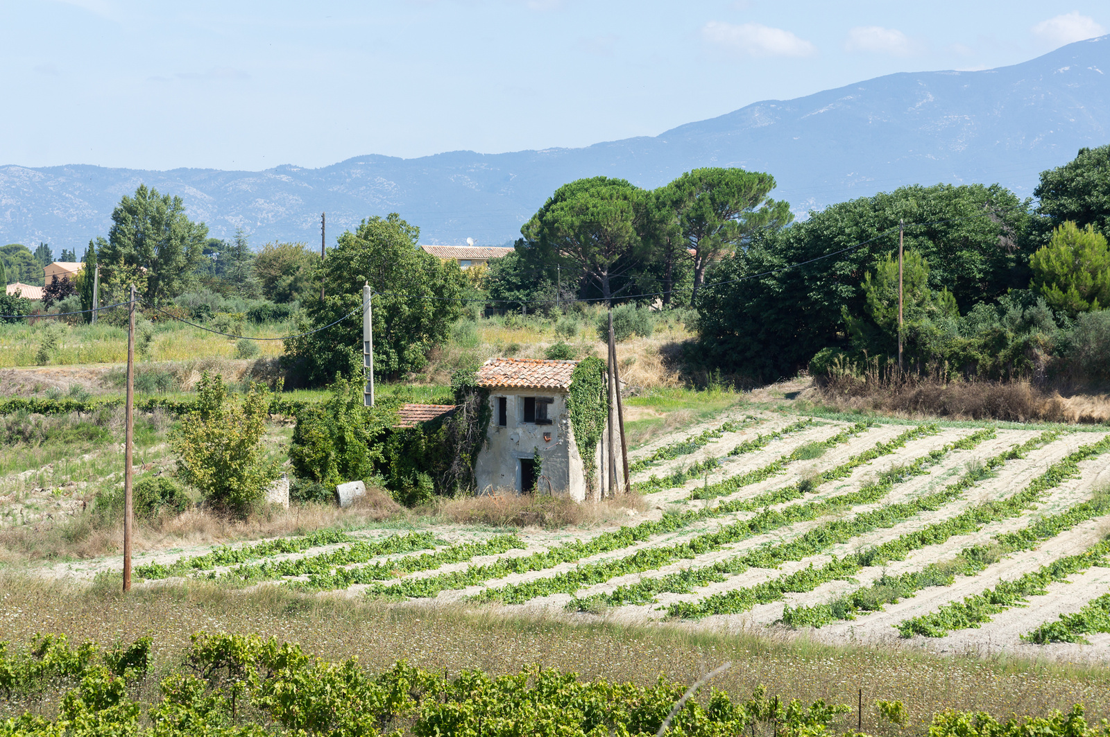 Provence