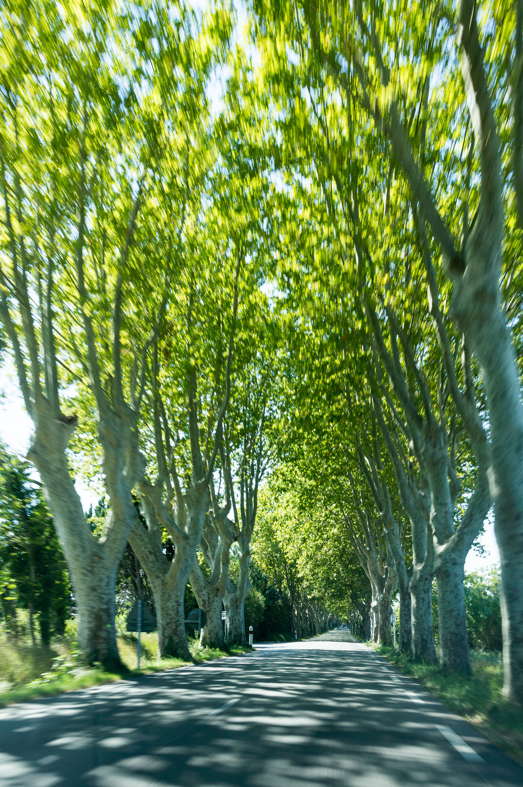 St-Remy-de-Provence