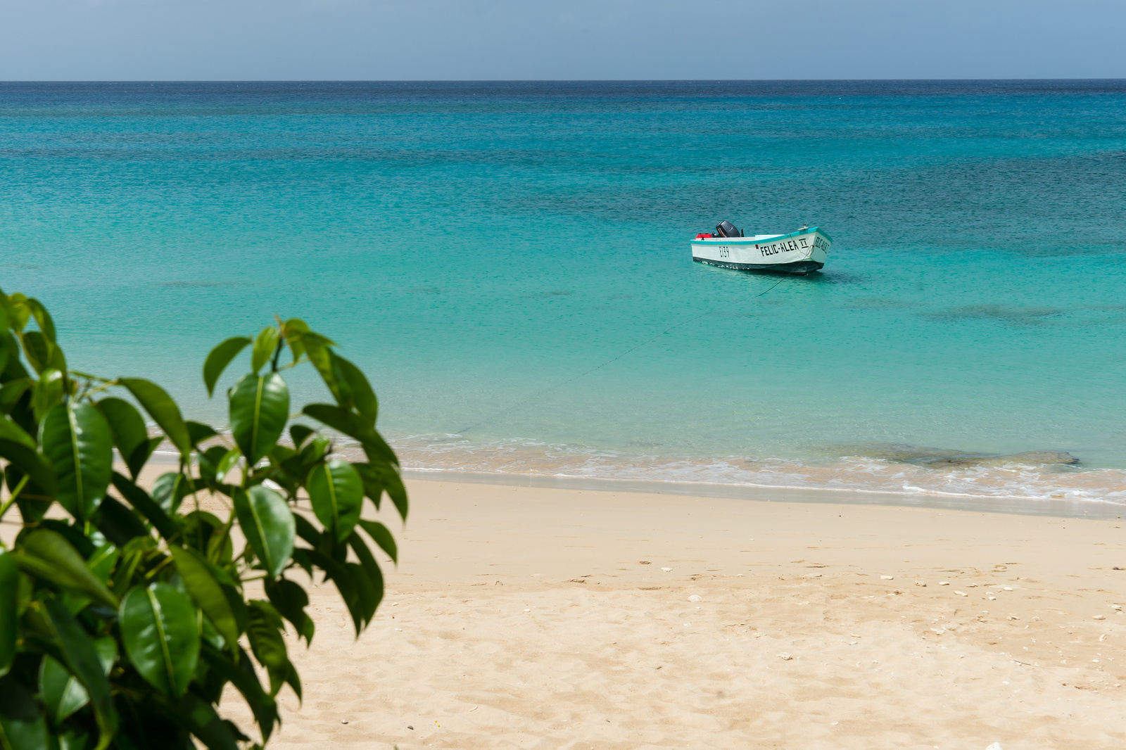 Mullins Bay - Barbados 2014