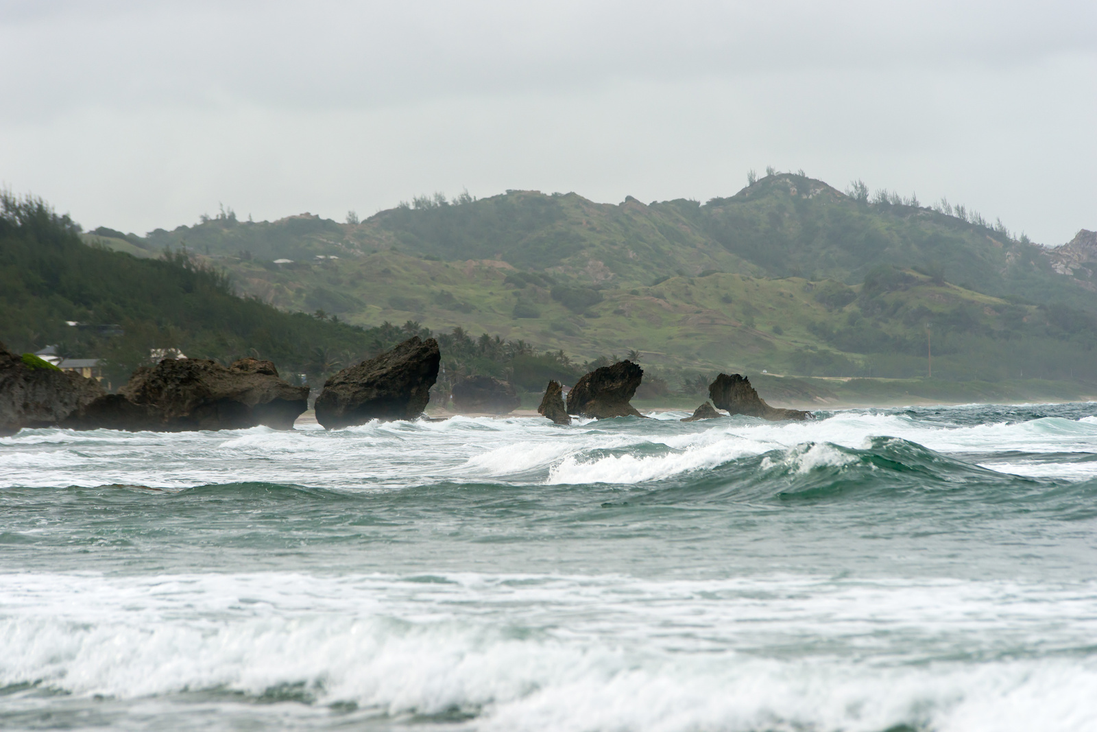 Bathsheba - Barbados 2014