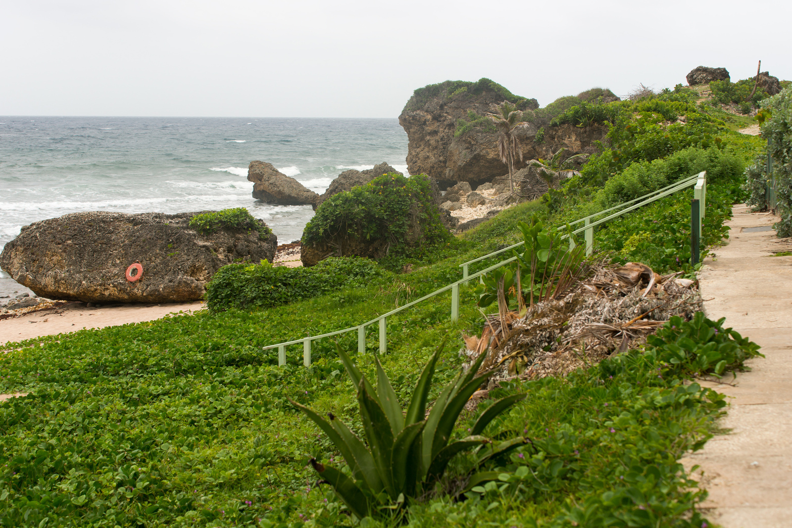 Bathsheba - Barbados 2014