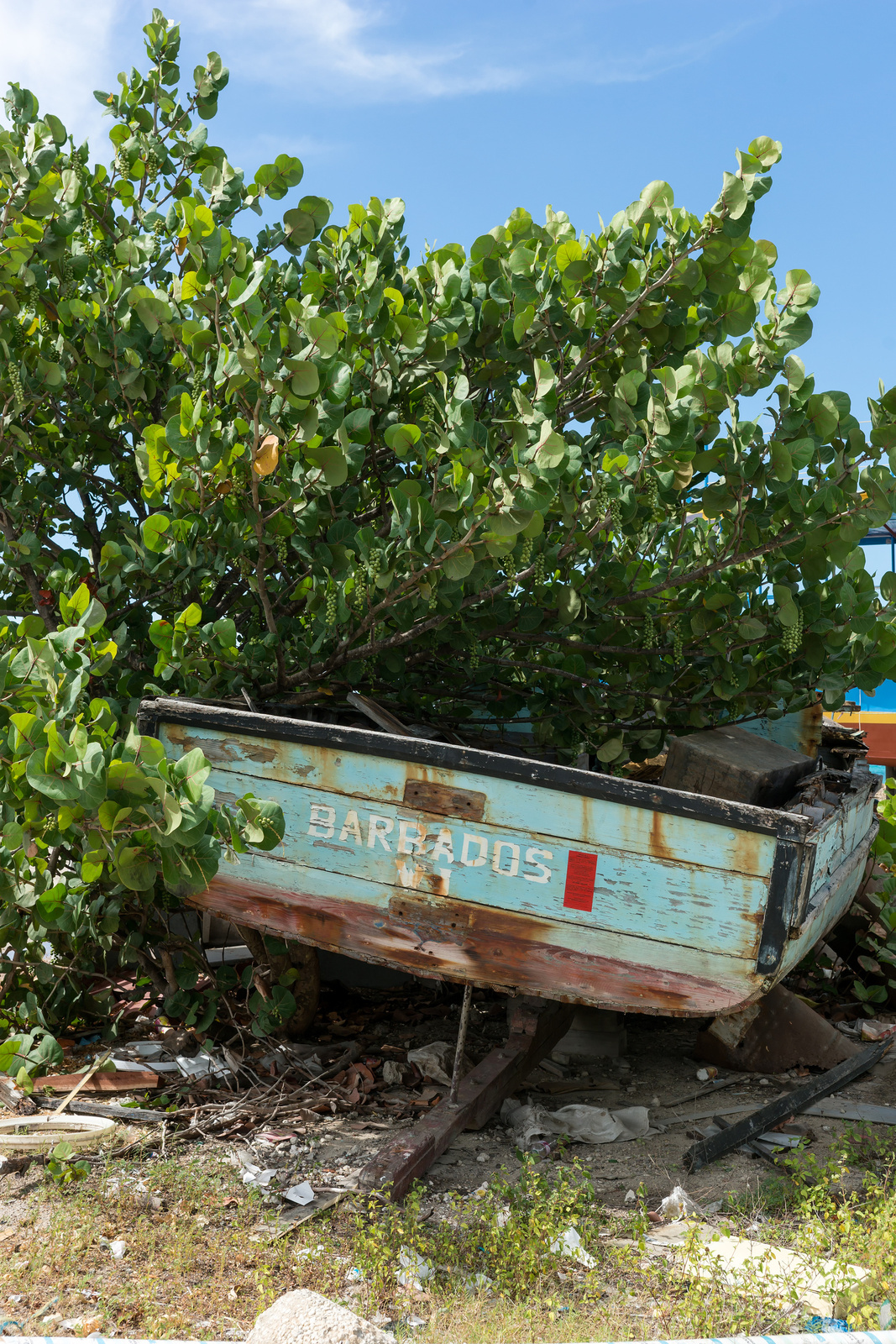 Oistins Beach - Barbados 2014