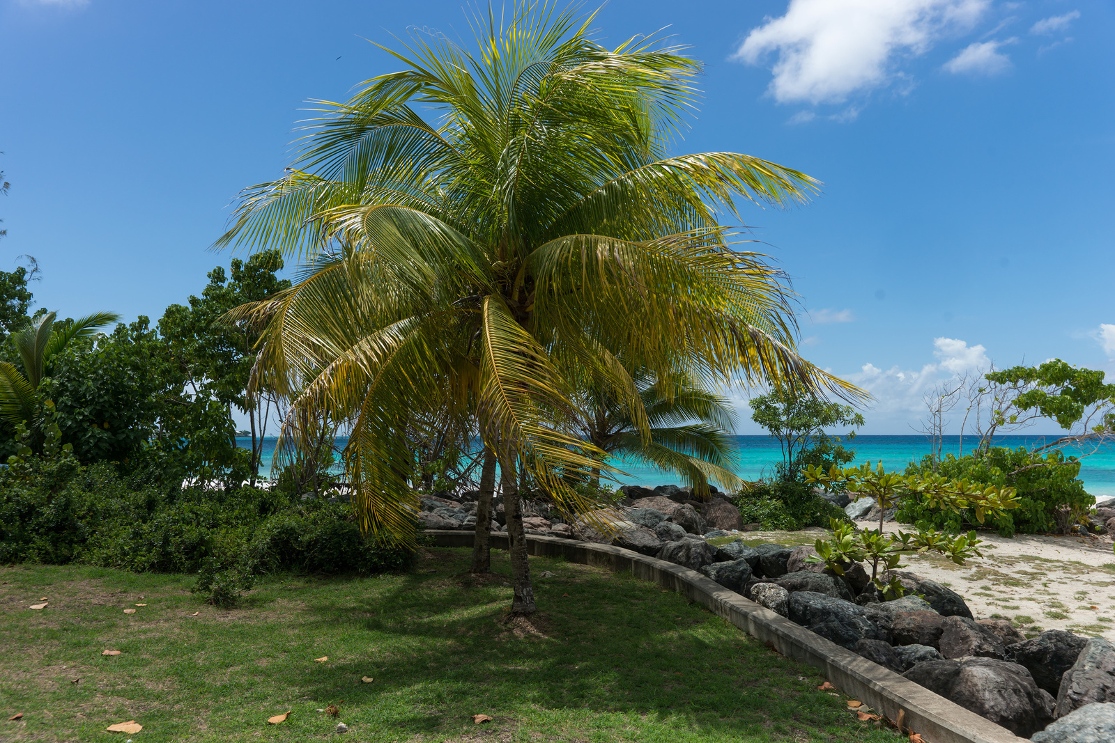 Oistins Beach - Barbados 2014