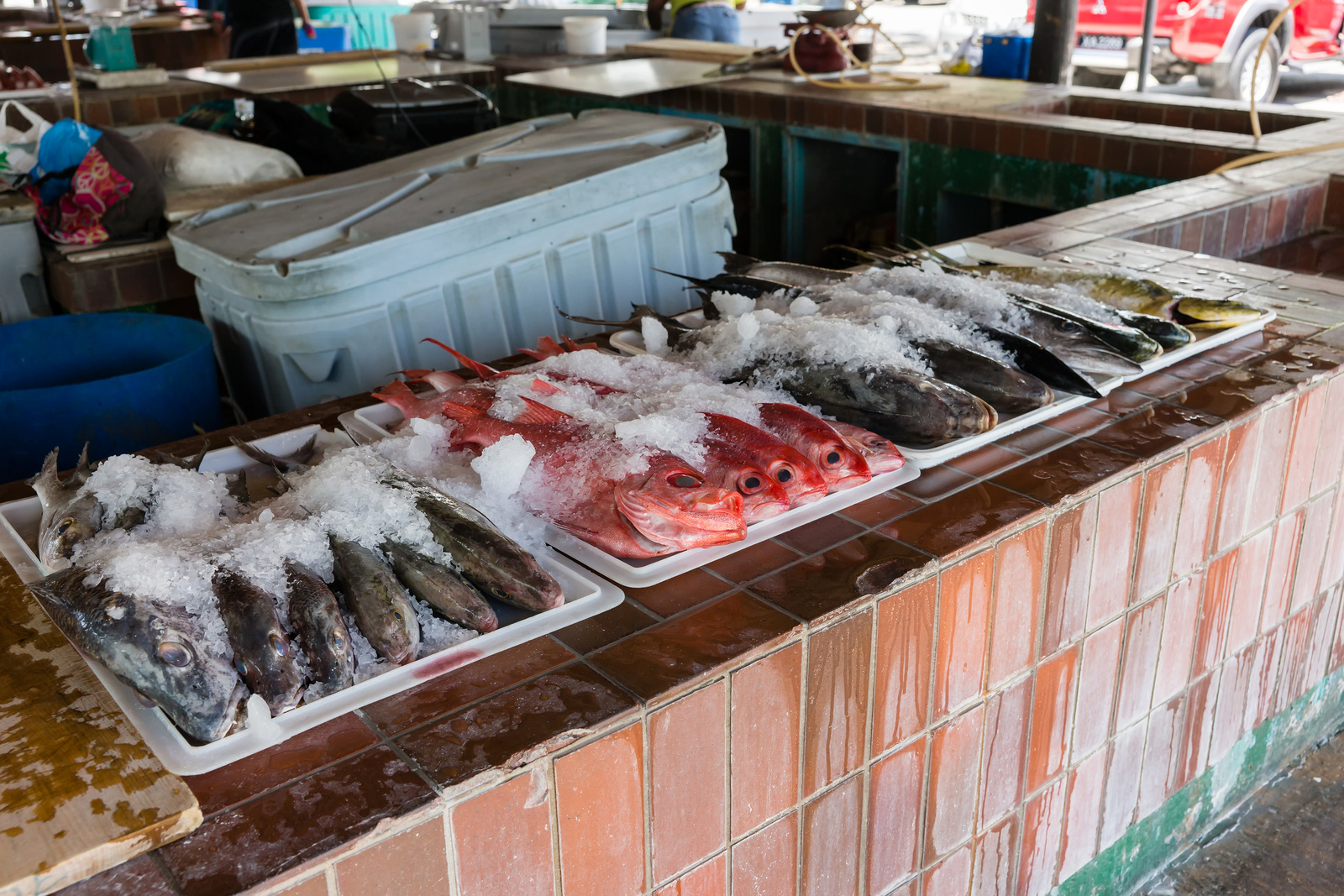 Oistins Fish Market - Barbados 2014