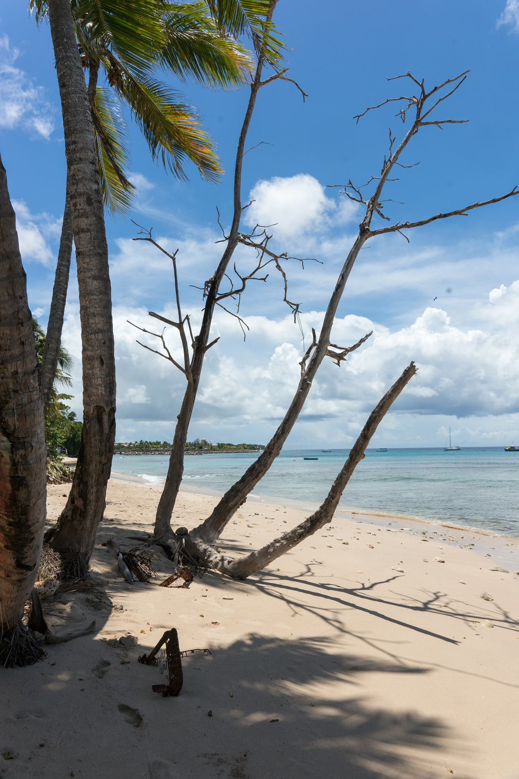 Sixmen's Bay - Barbados 2014