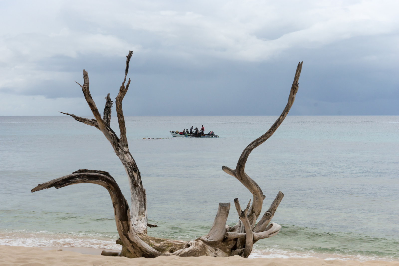 Speightstown - Barbados 2014