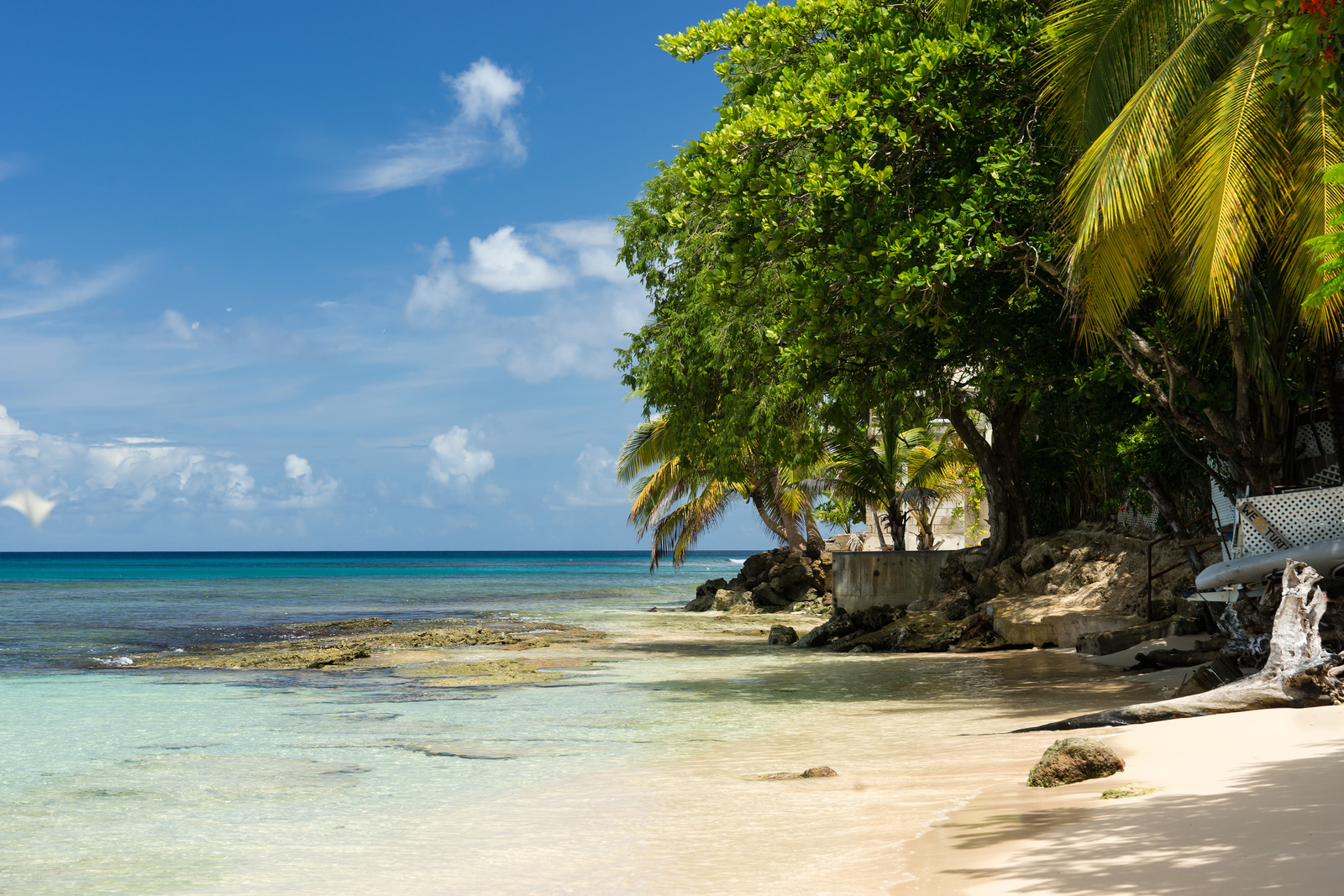 Mullins Bay - Barbados 2014