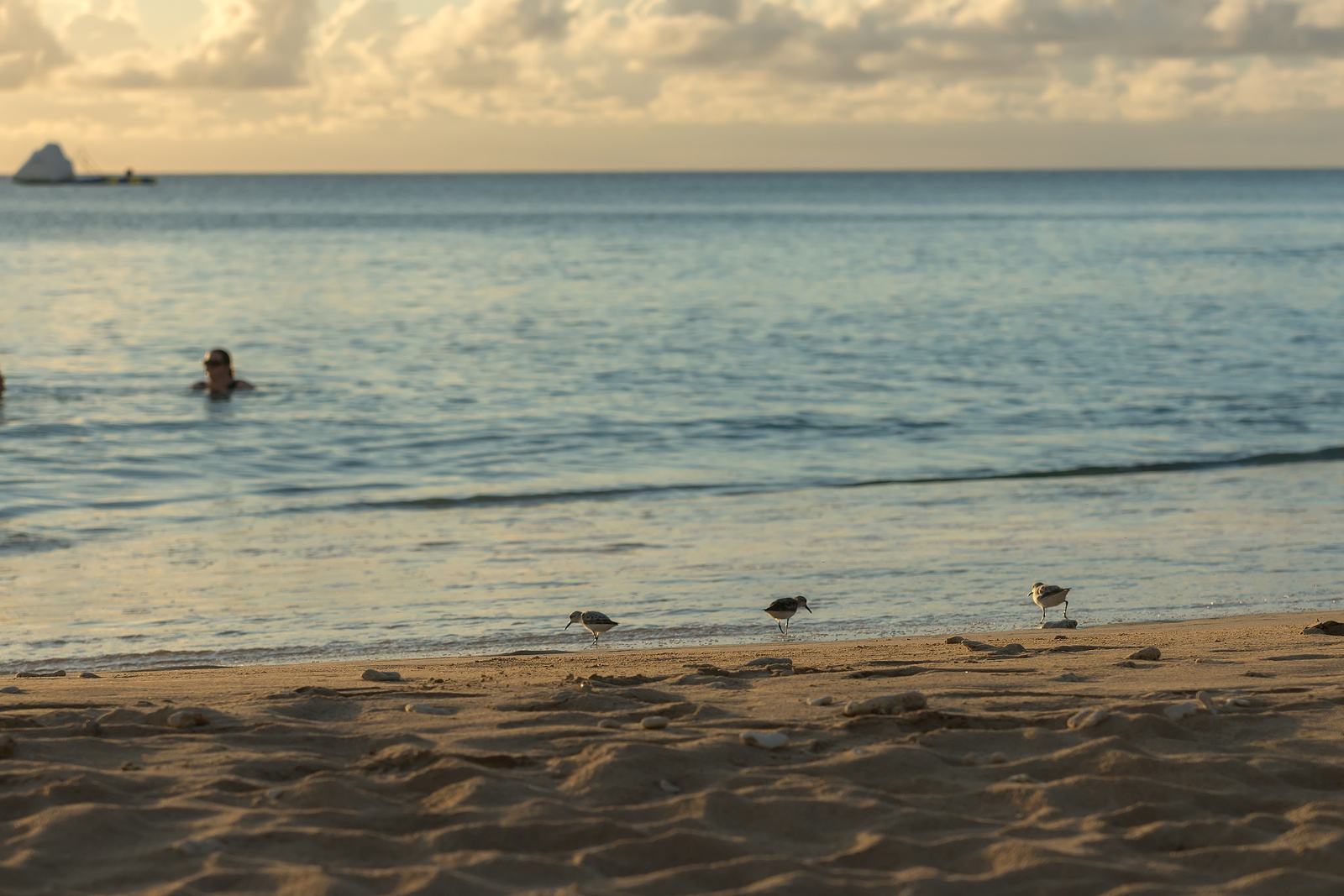 Mullins Bay - Barbados