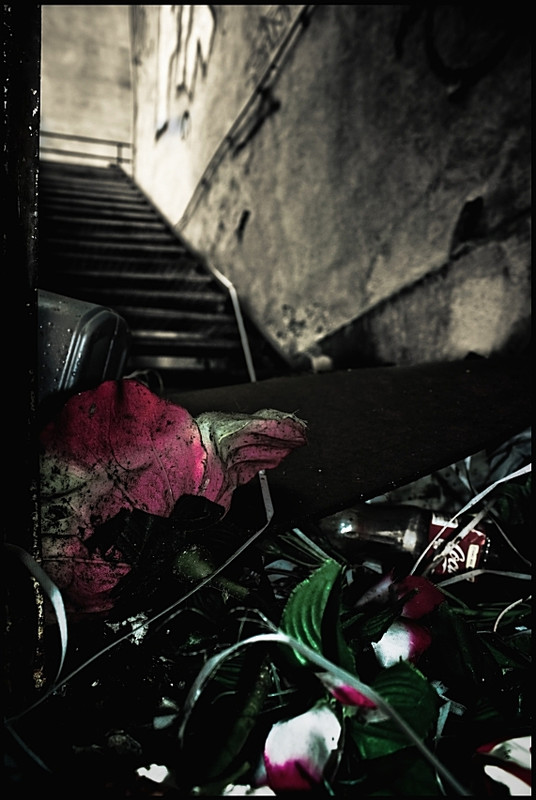 stairway with rose