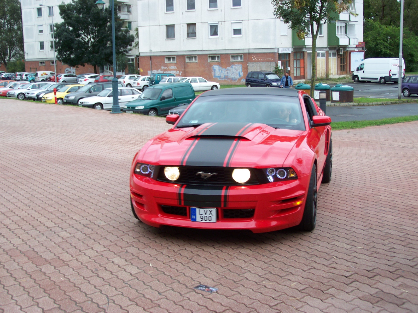 Shelby Mustang GT500 Super Snake