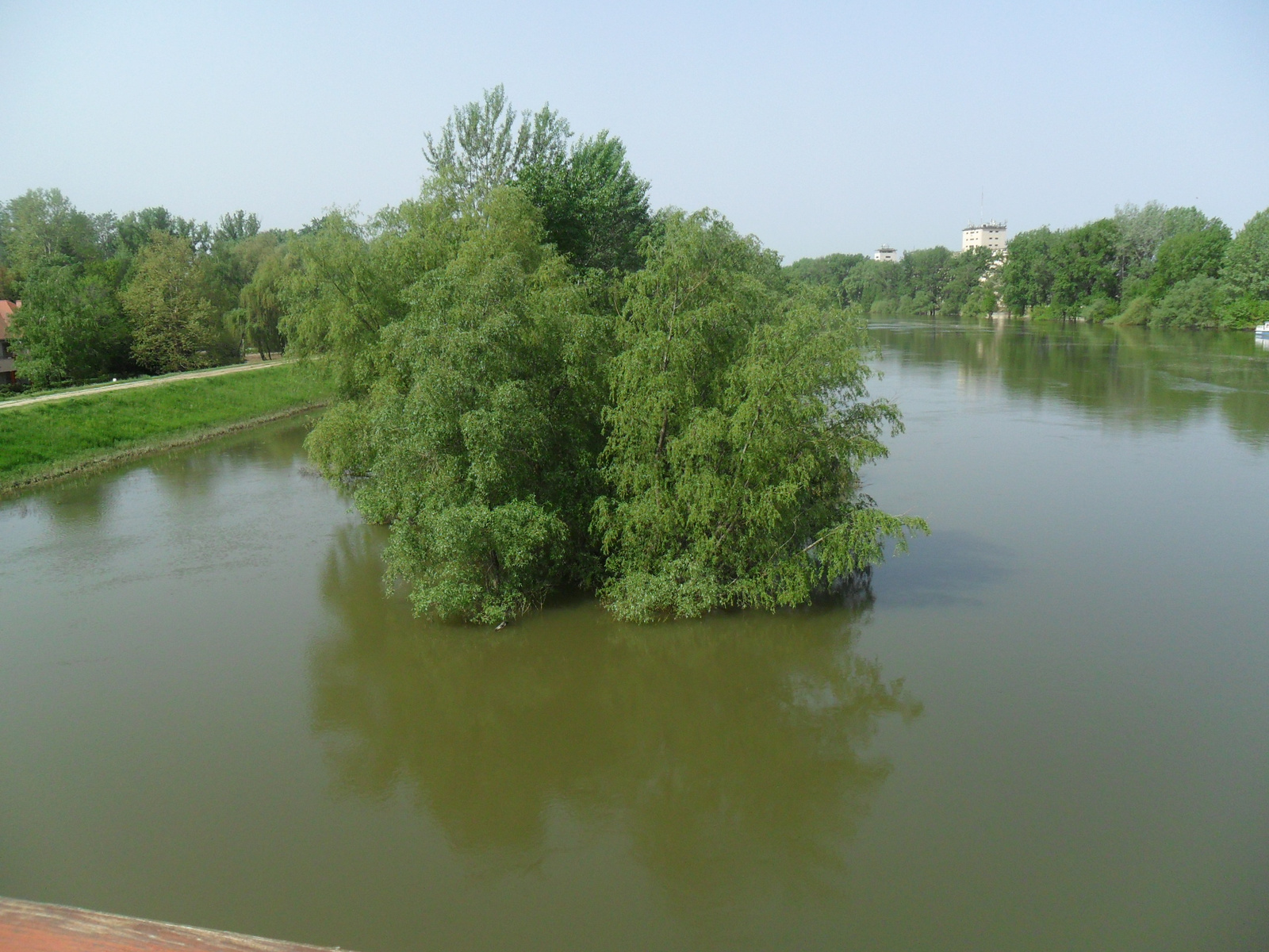 tisza