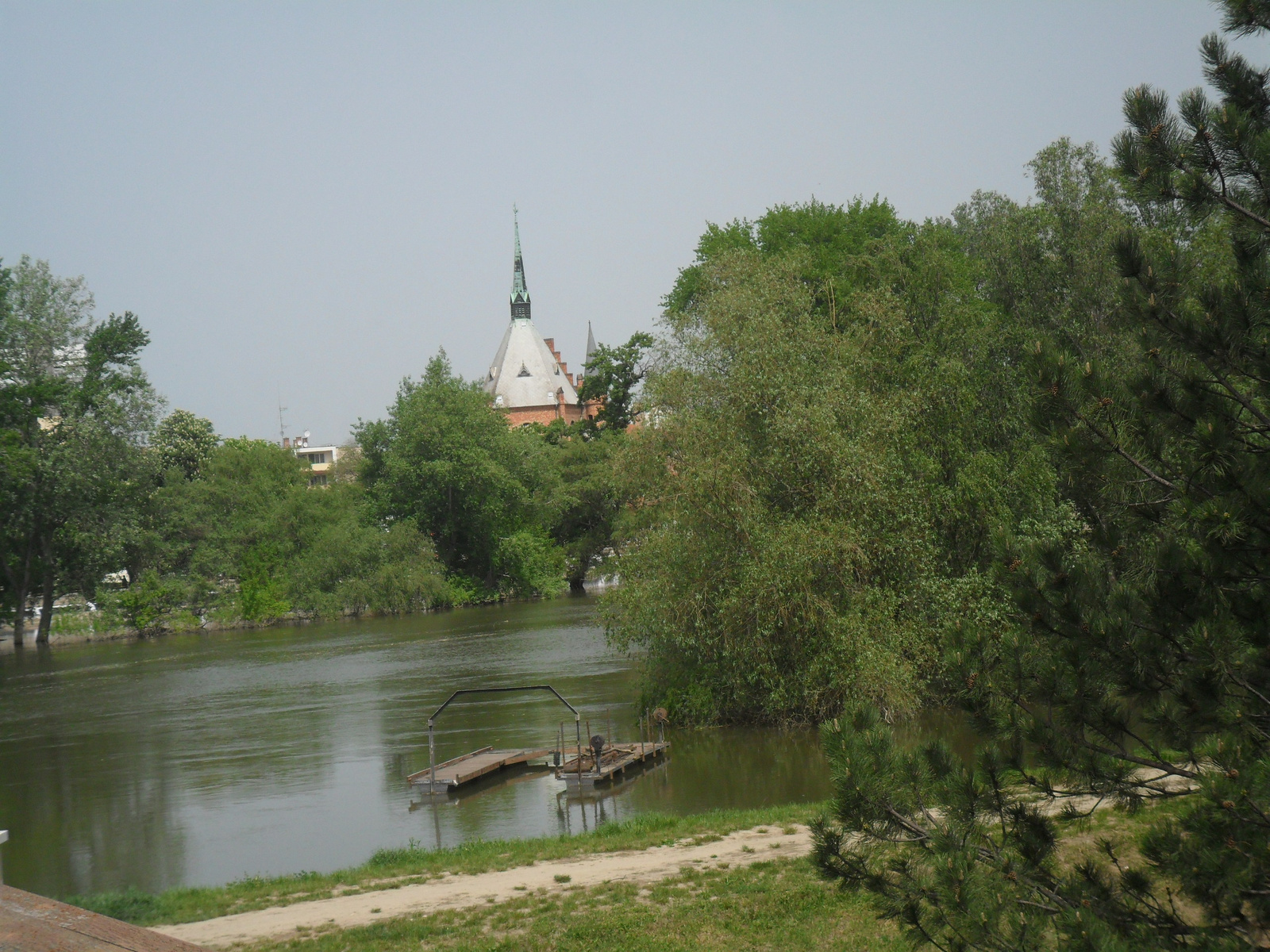 Tisza