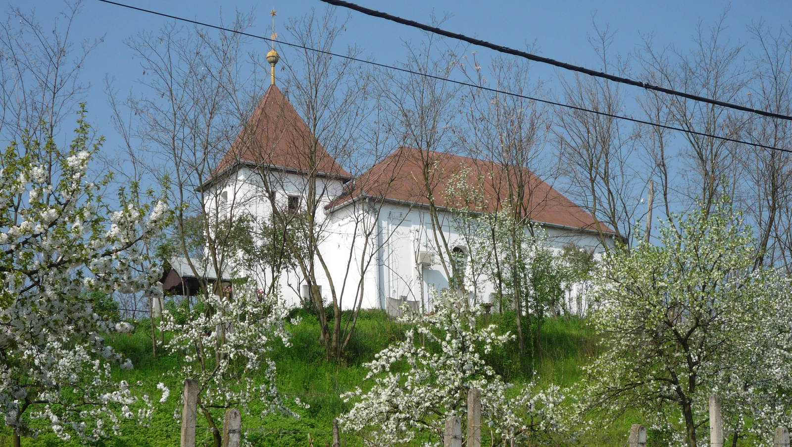 Mezőladány (5)