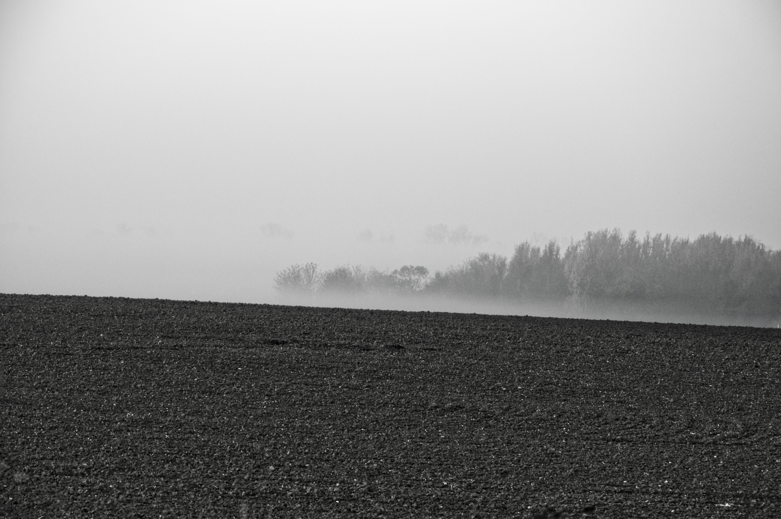 reggeli köd a határban