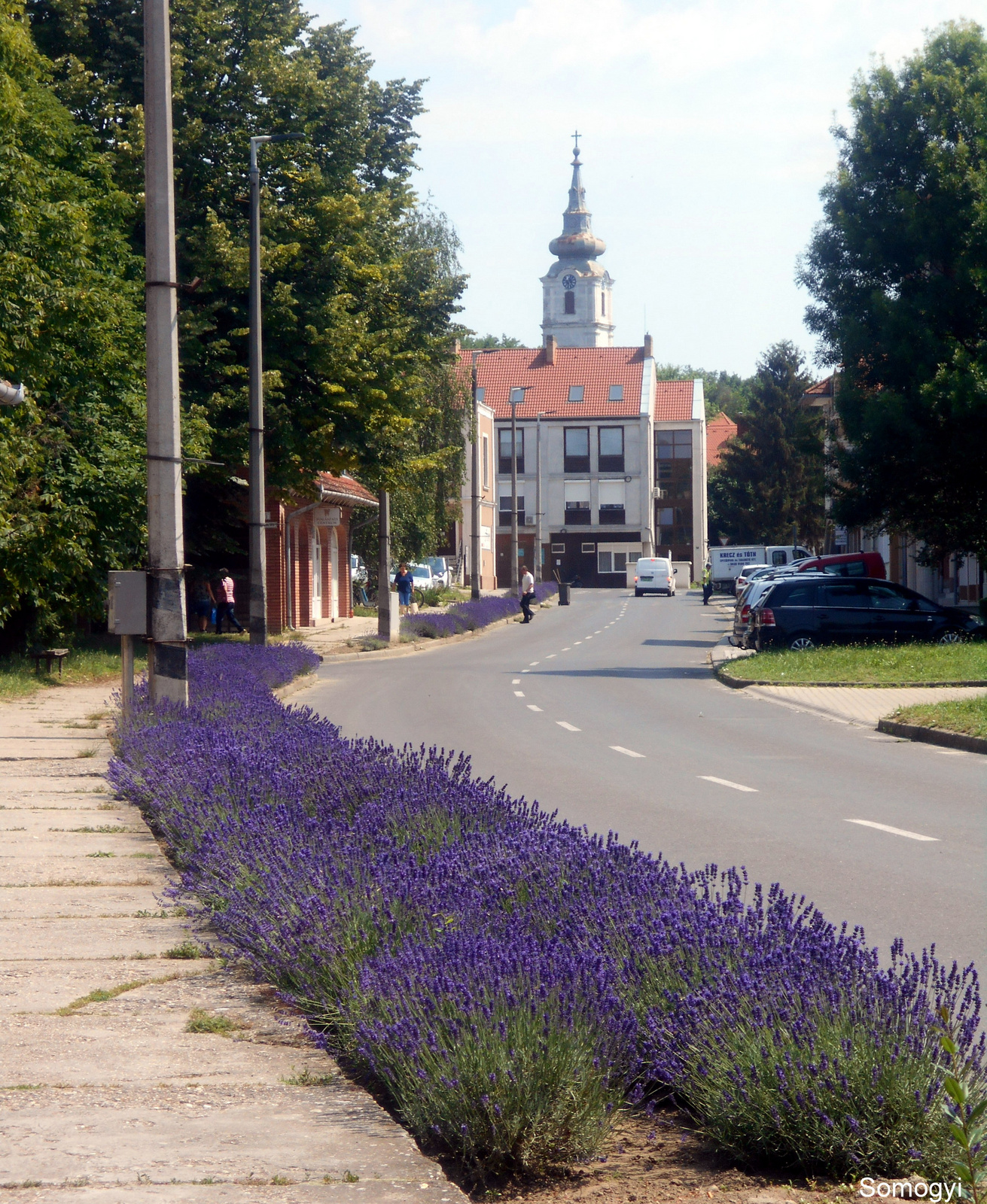 Gábor Pál utca