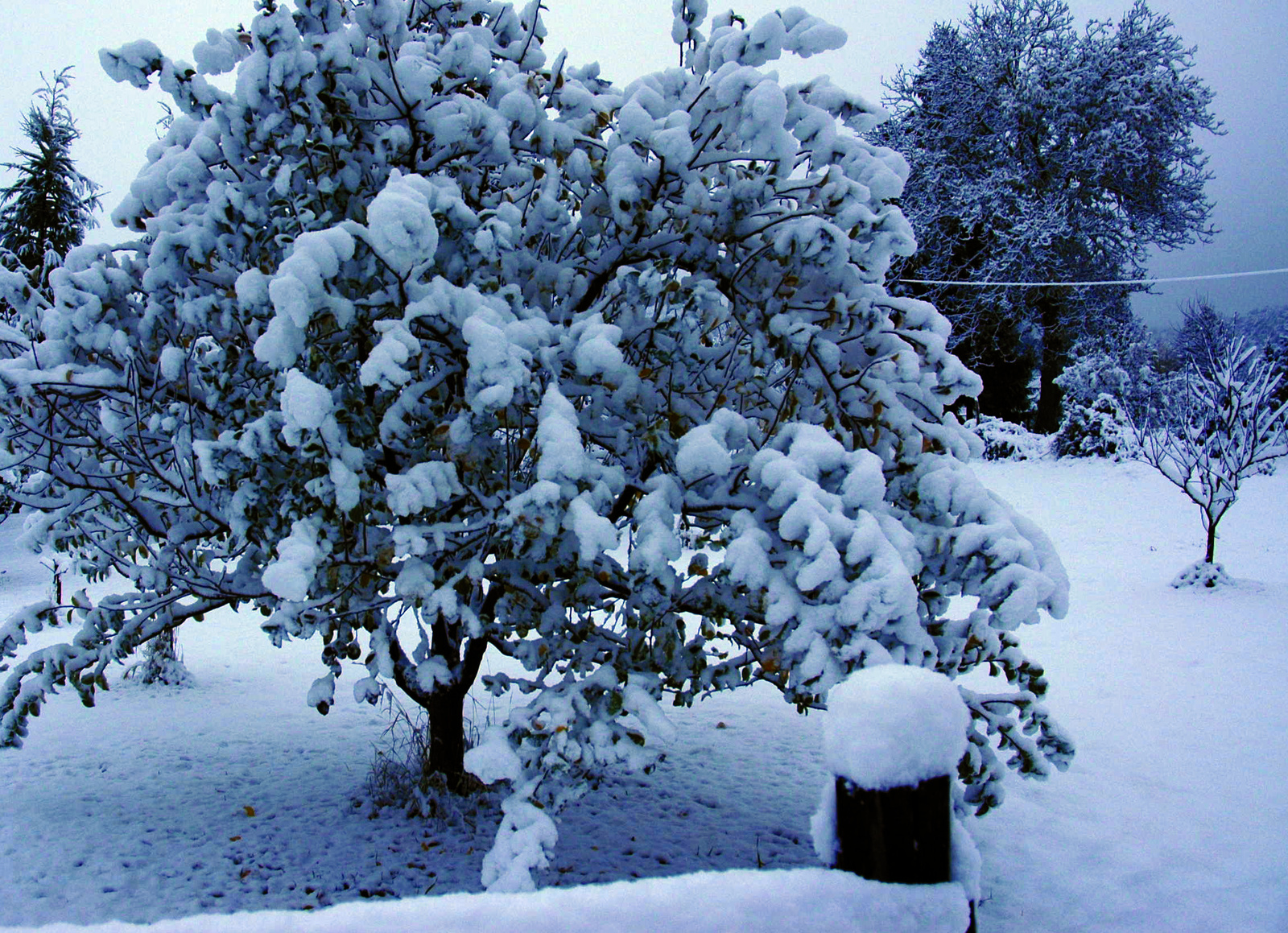 12 cm hó Németbánya