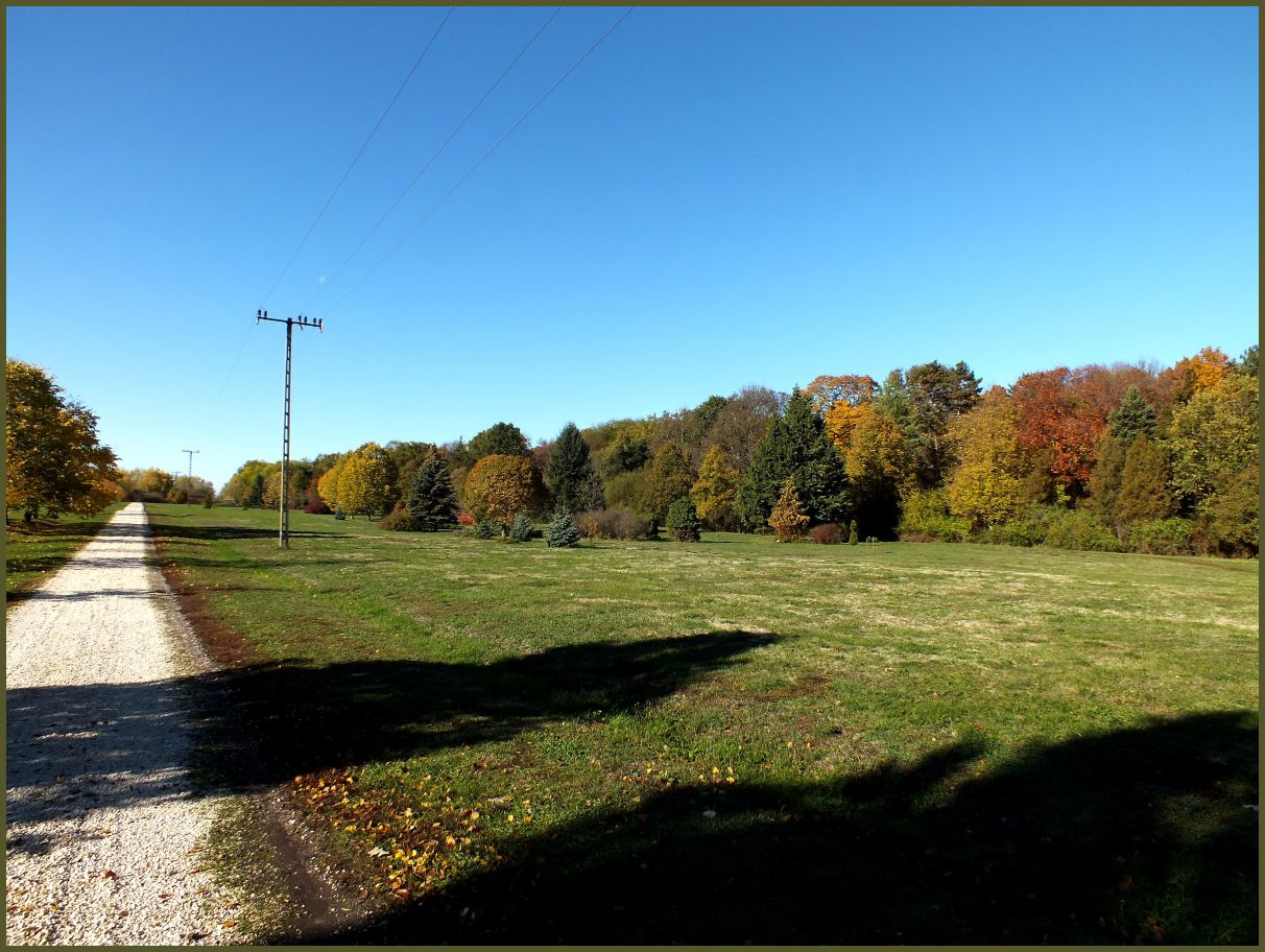 A TISZAIGARI ARBORÉTUM- 060.