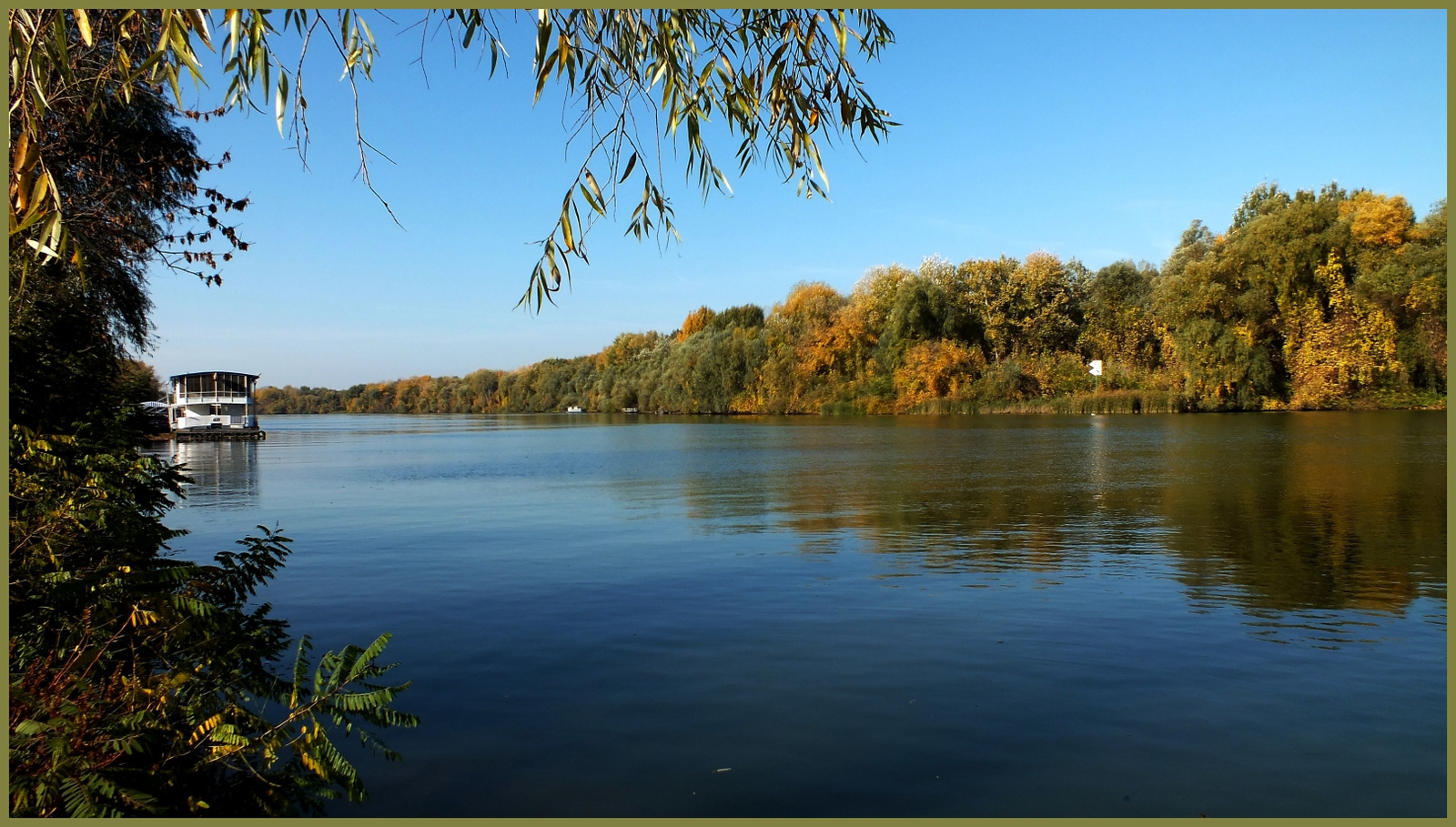 Tisza reggel- 12