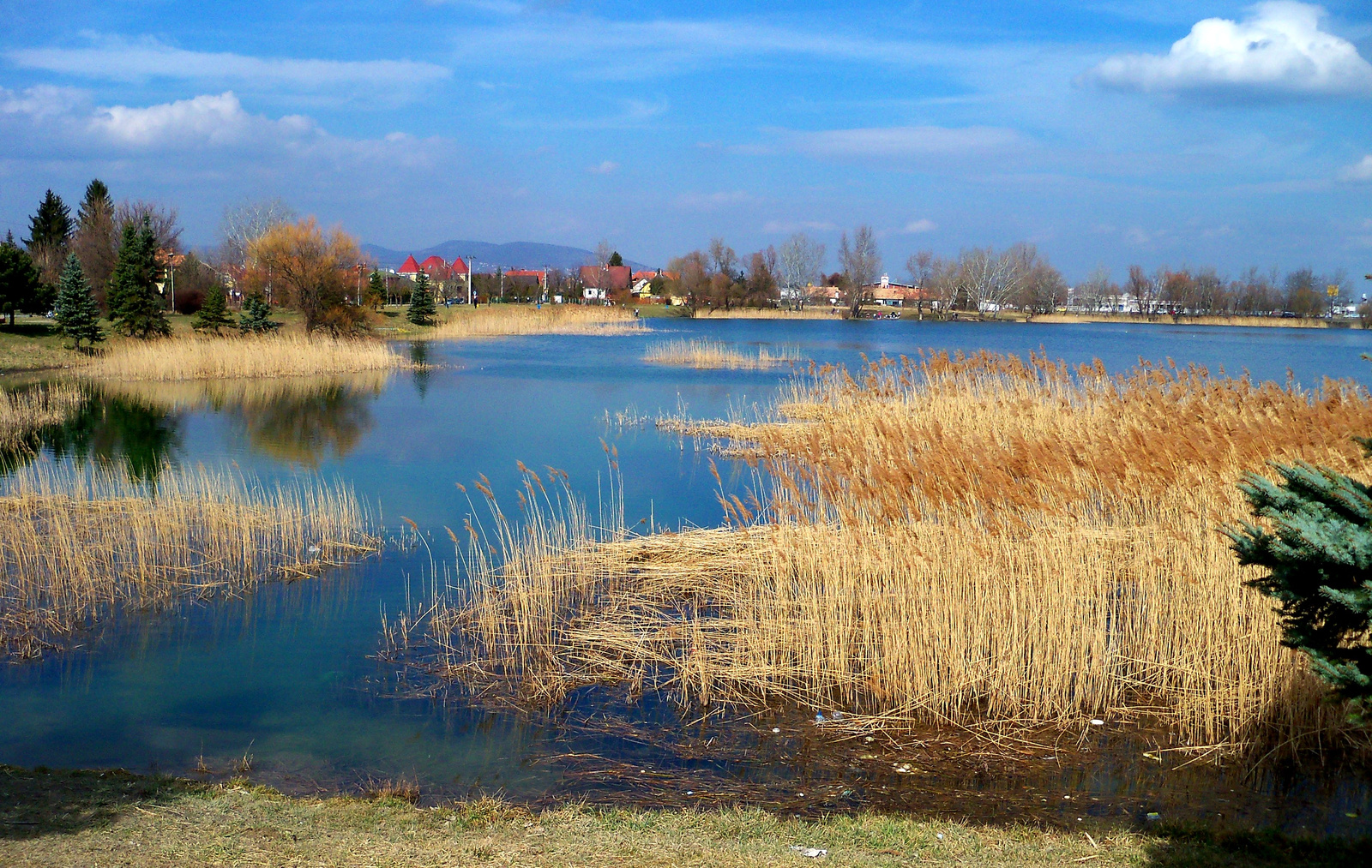 Omszki-tó