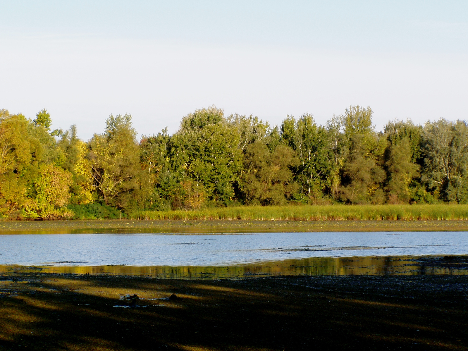 Tisza (10)