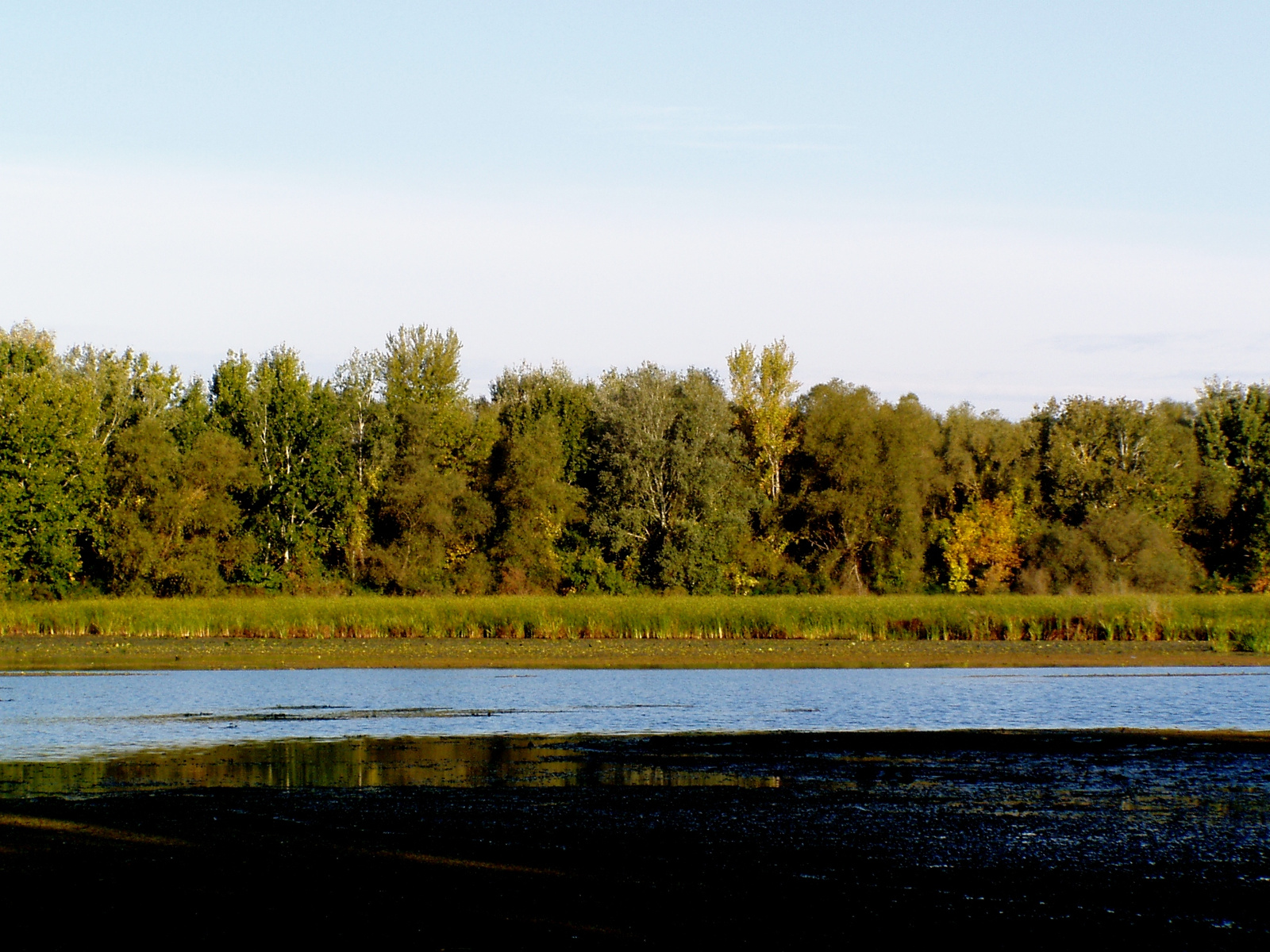 Tisza (11)